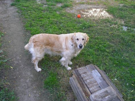 marci_174.jpg